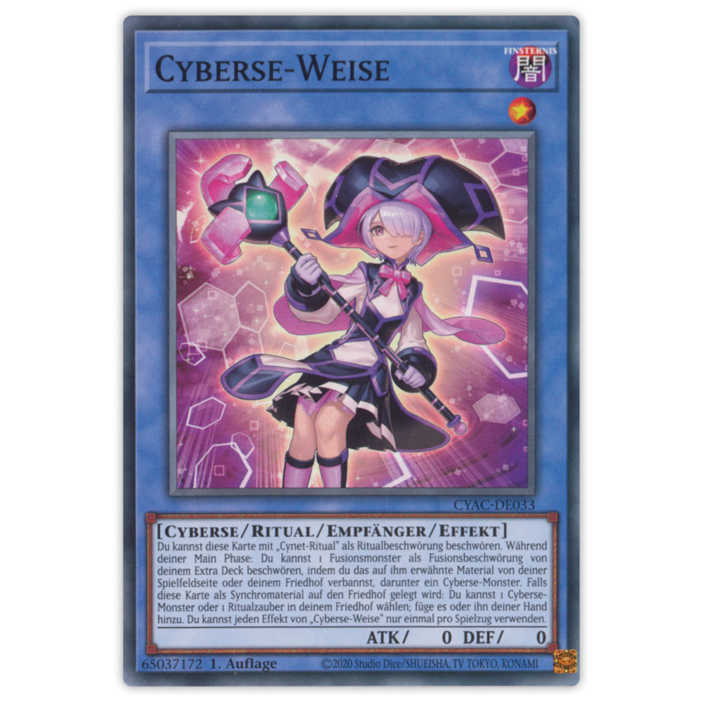 Bild von CYAC-DE033 Cyberse-Weise