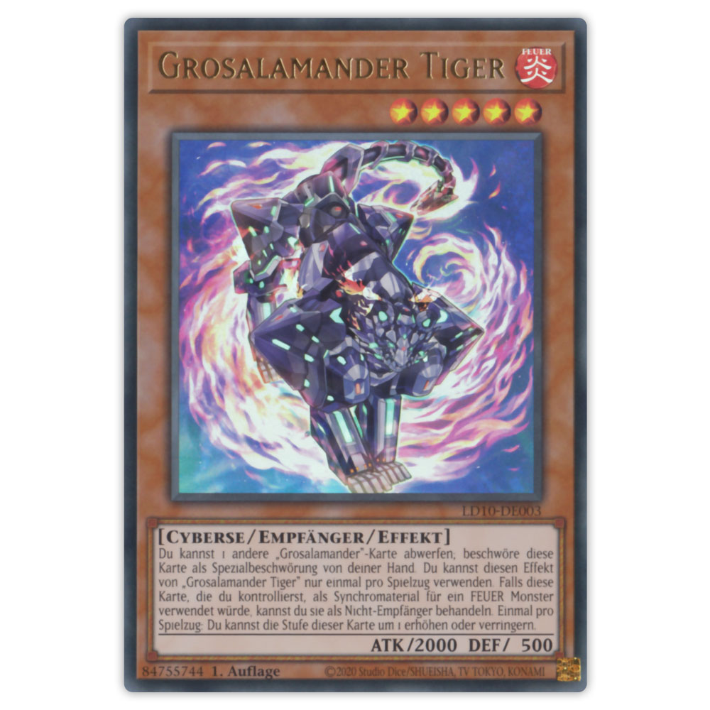 Bild von LD10-DE003 Grosalamander Tiger