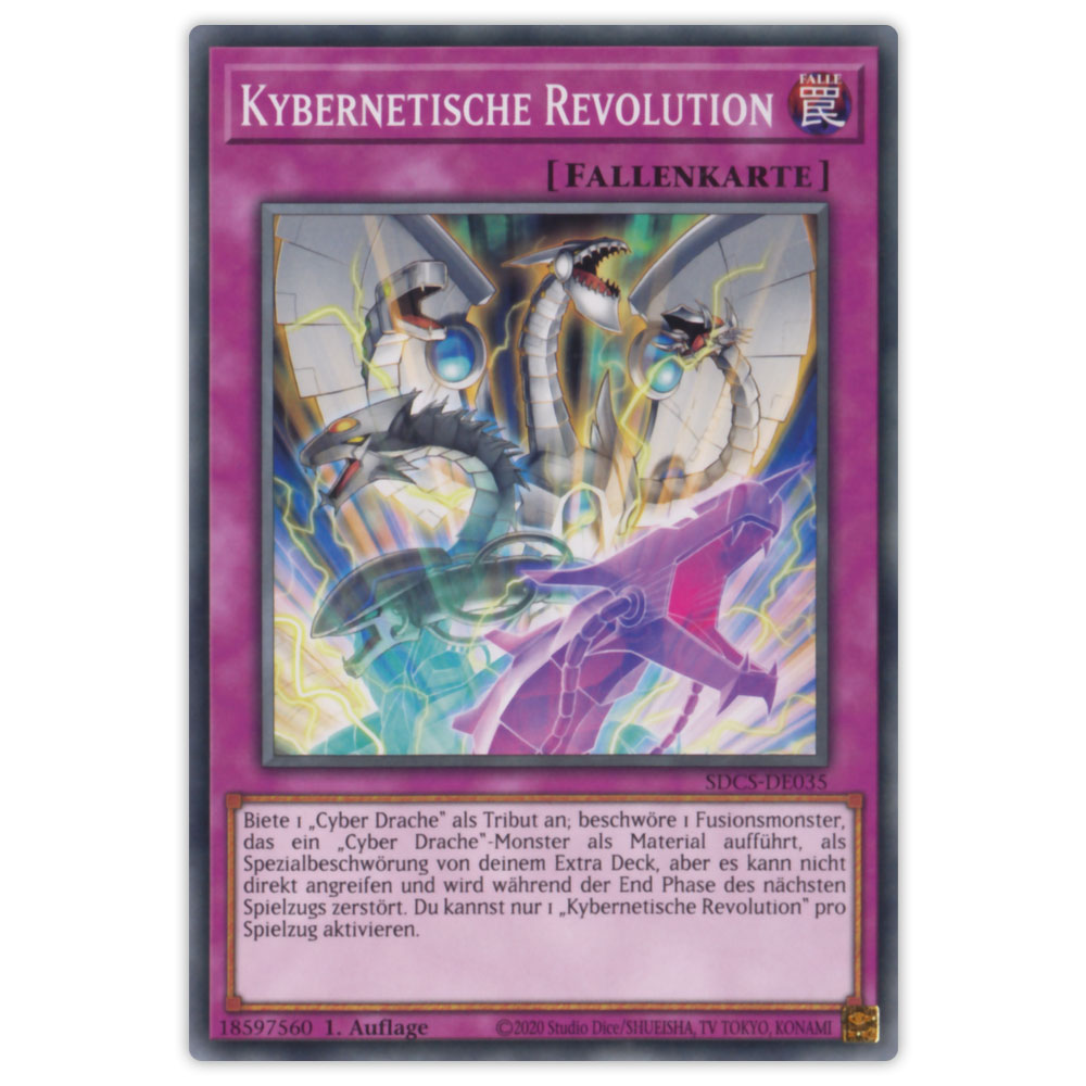 Bild von SDCS-DE035 Kybernetische Revolution