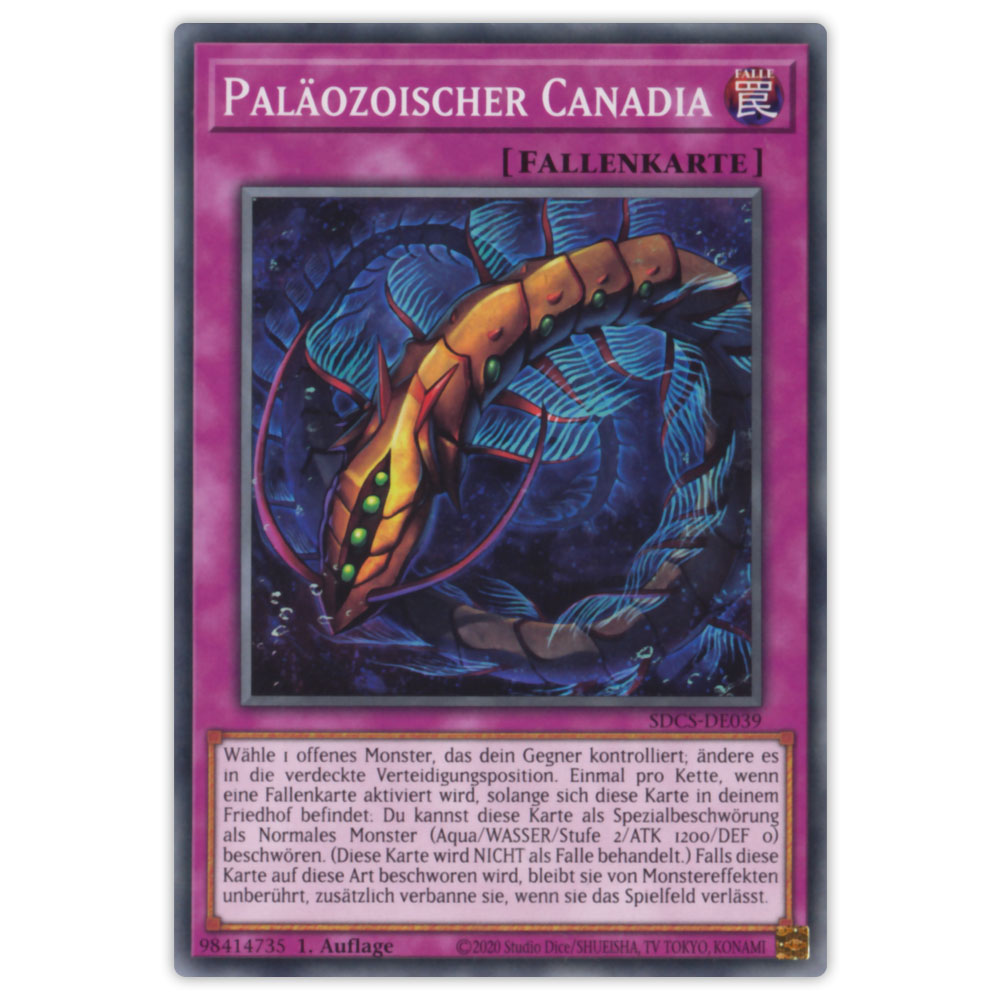 Bild von SDCS-DE039 Paläozoischer Canadia