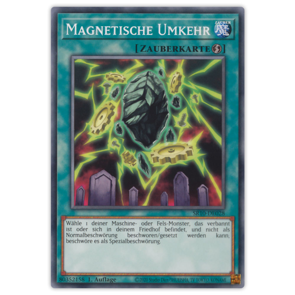 Bild von SR10-DE028 Magnetische Umkehr