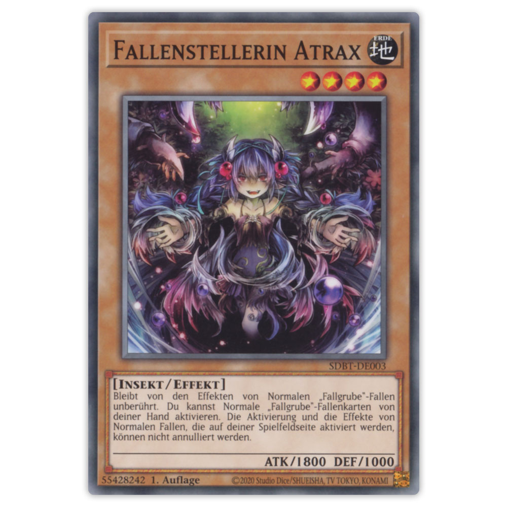 Bild von SDBT-DE003 Fallenstellerin Atrax