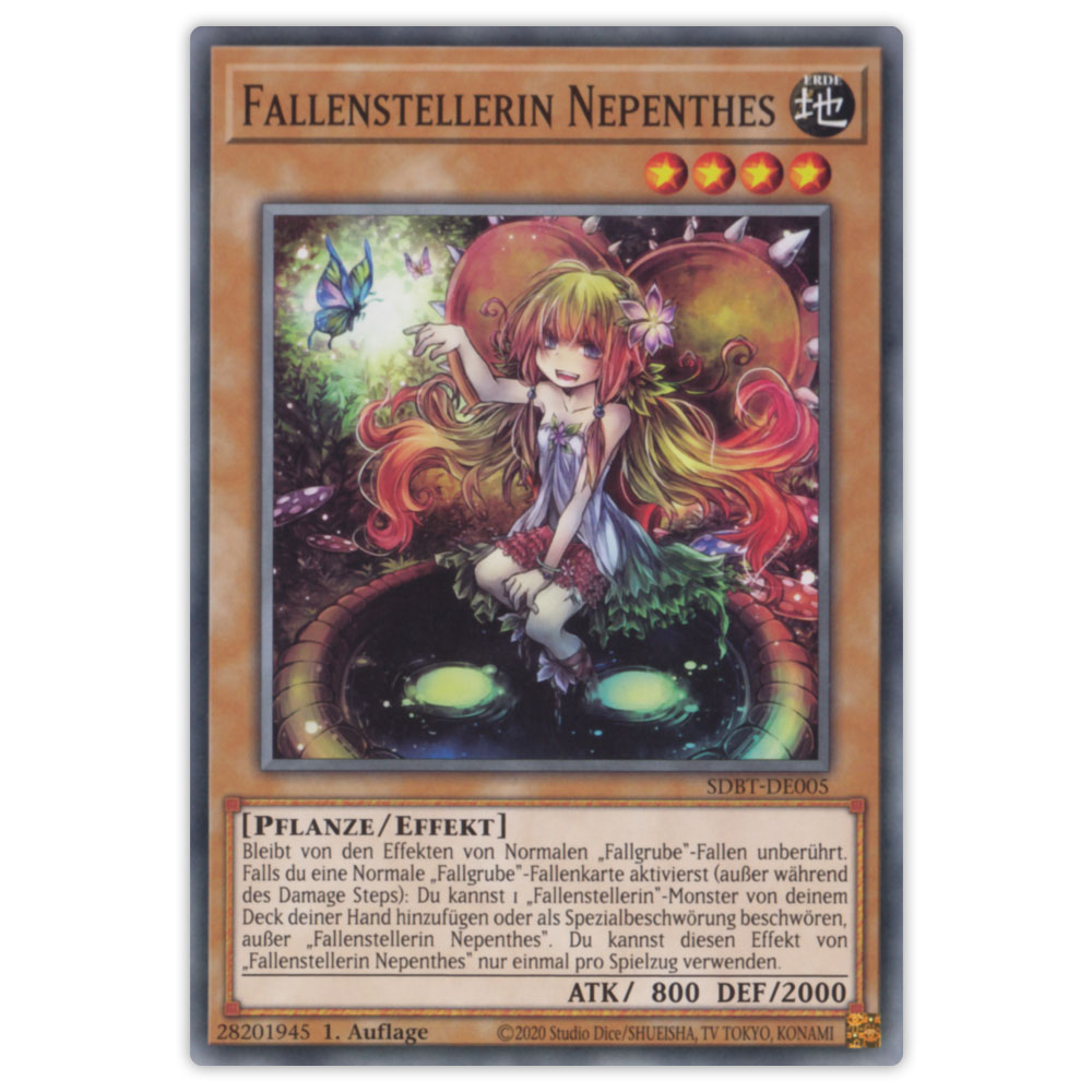 Bild von SDBT-DE005 Fallenstellerin Nepenthes