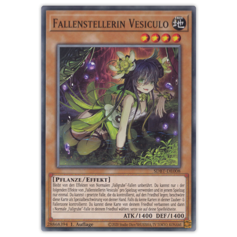 Bild von SDBT-DE008 Fallenstellerin Vesiculo