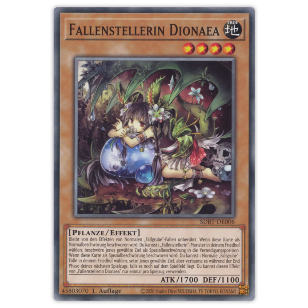 Bild von SDBT-DE006 Fallenstellerin Dionaea