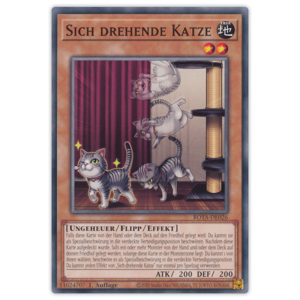 Bild von ROTA-DE026 Sich drehende Katze