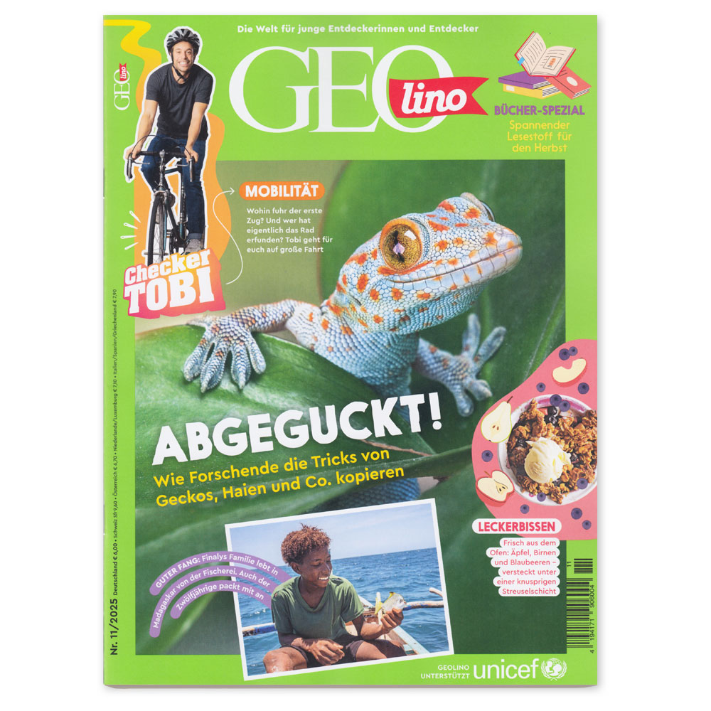 Bild von GEOlino 11/2025
