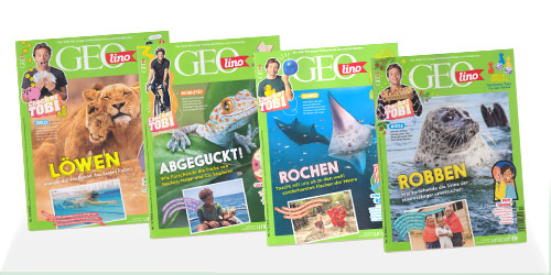 Bild für Kategorie GEO - LINO