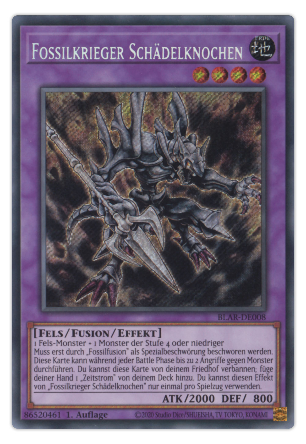 Bild von BLAR-DE008 Fossilkrieger Schädelknochen