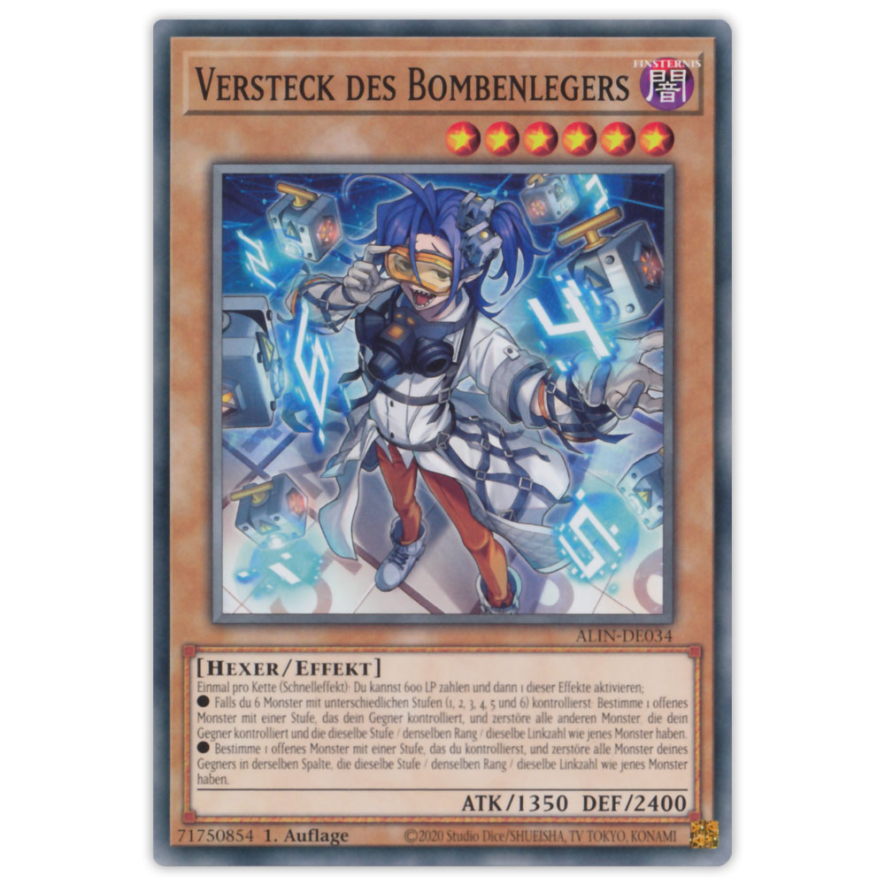 Bild von ALIN-DE034 Versteck des Bombenlegers