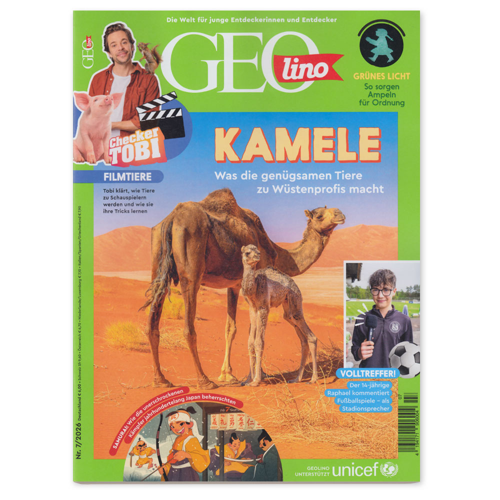 GEOlino 07/2026