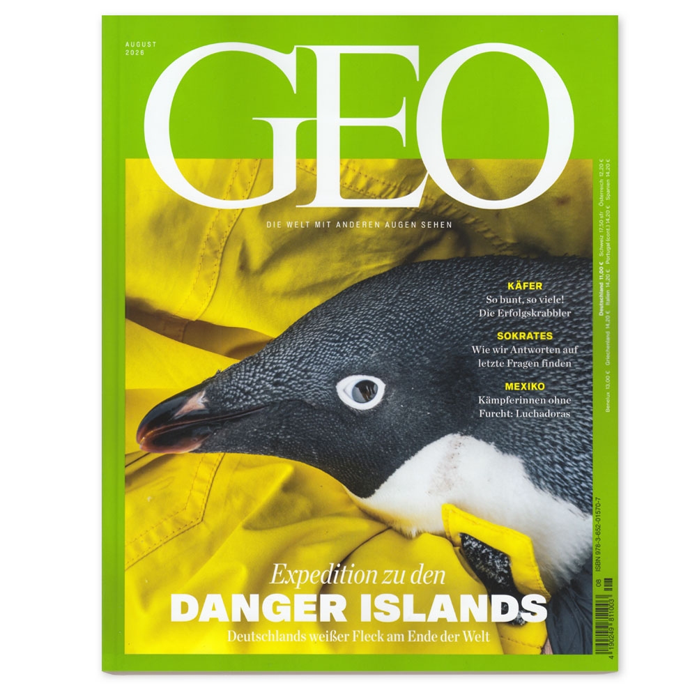 GEO 08/2026