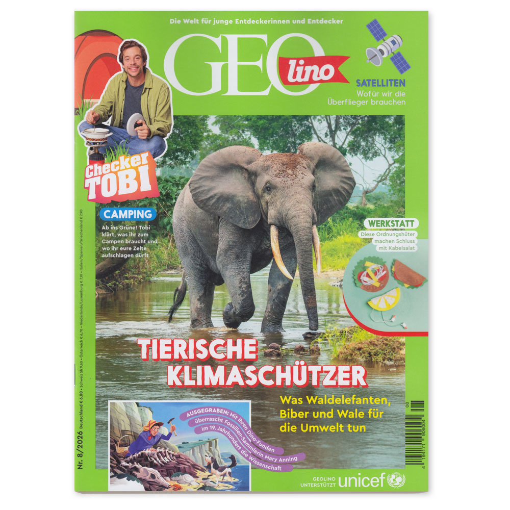 GEOlino 08/2026